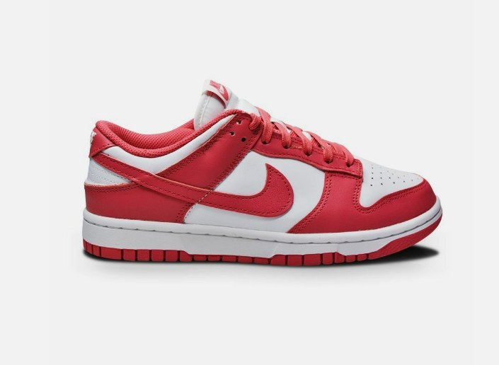 NIKE DUNK LOW GIRLD POWER DD1503-111