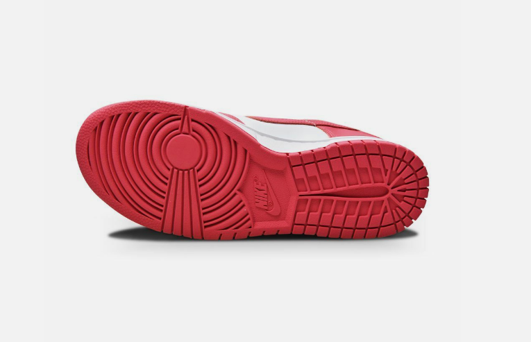NIKE DUNK LOW GIRLD POWER DD1503-111