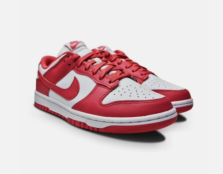 NIKE DUNK LOW GIRLD POWER DD1503-111