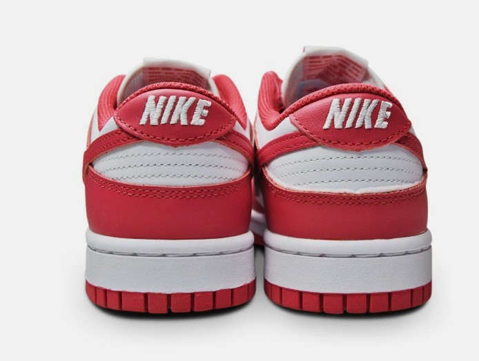 NIKE DUNK LOW GIRLD POWER DD1503-111