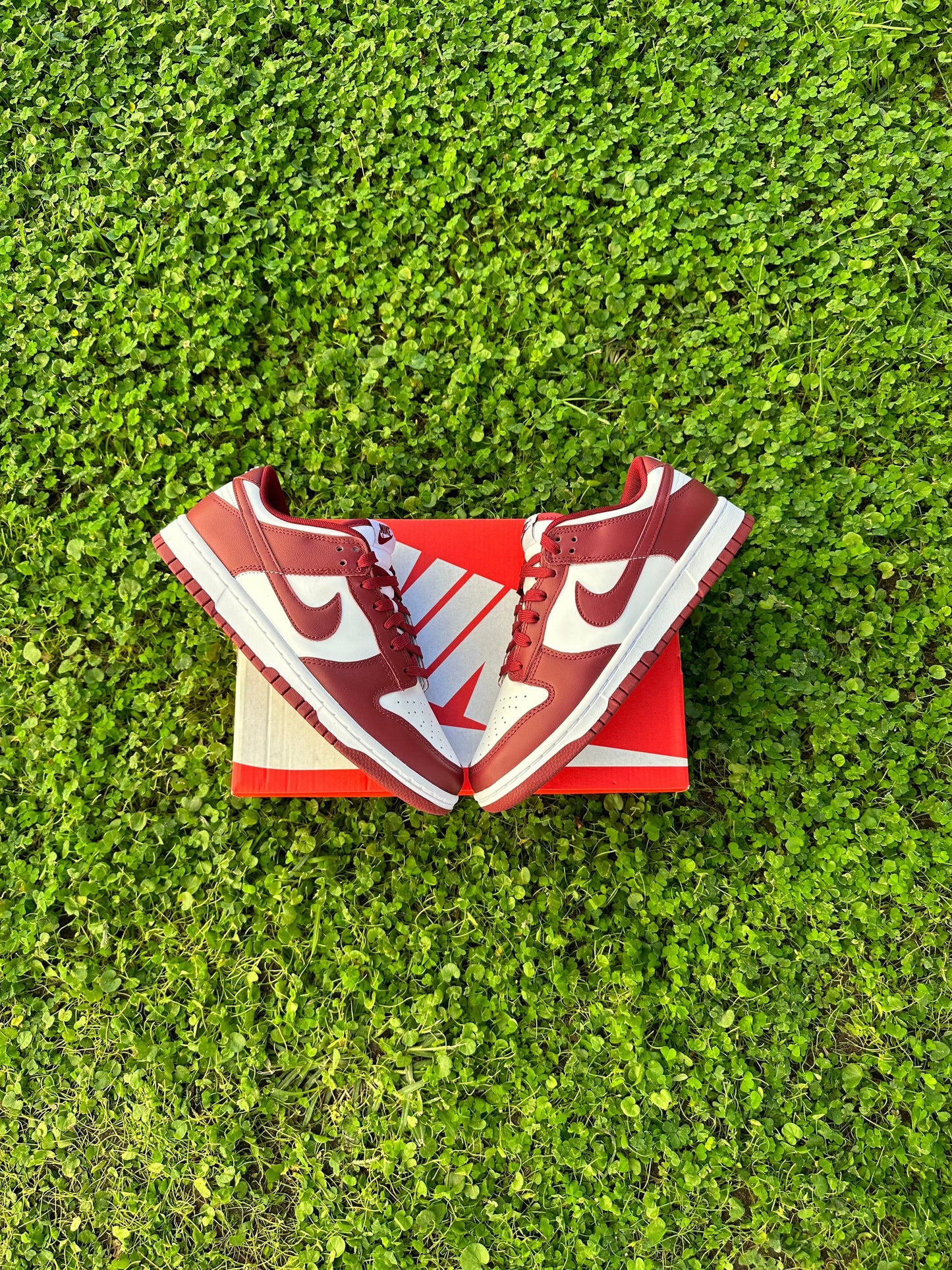 Nike Dunk Low "GRANATE" DD1391 601
