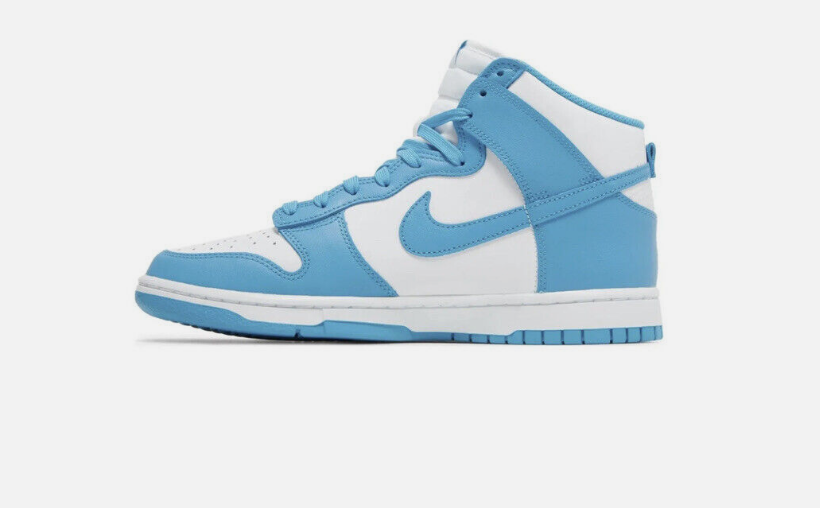 Nike Dunk Hi DD1399-400
