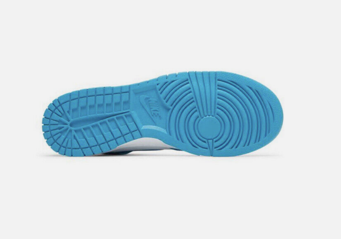 Nike Dunk Hi DD1399-400
