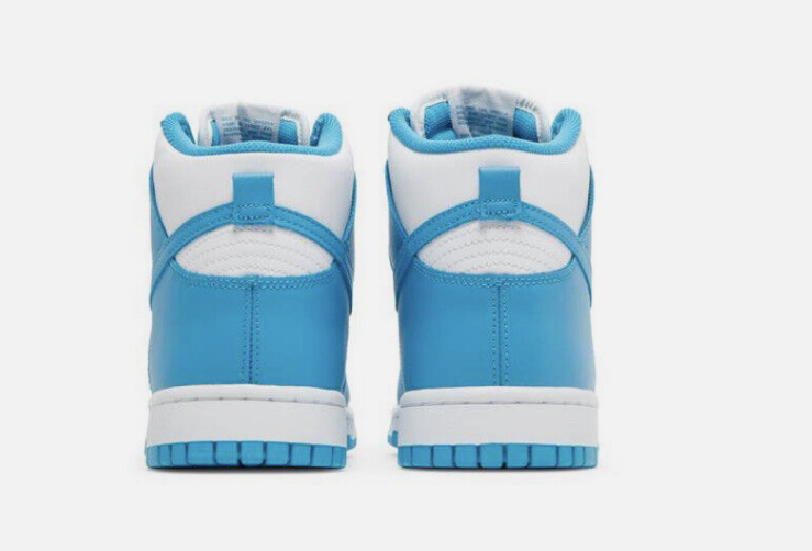 Nike Dunk Hi DD1399-400