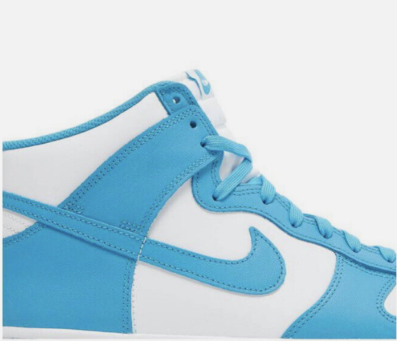 Nike Dunk Hi DD1399-400