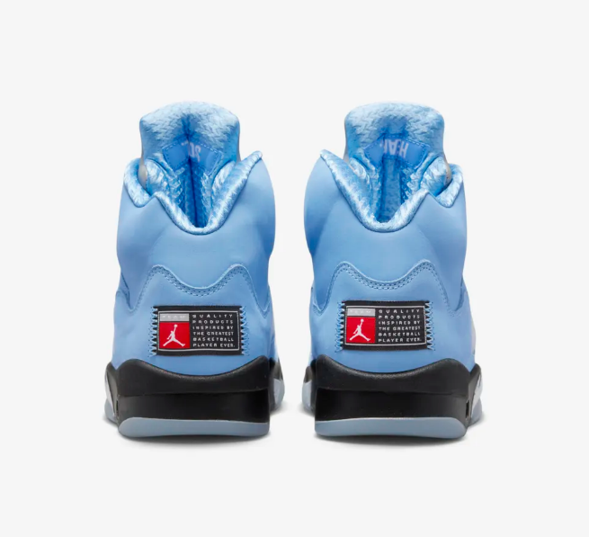 Air Jordan 5 UNC DV1310-401