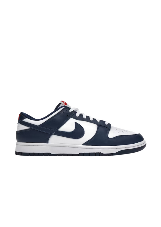 Nike Dunk Low Valerian Blue DD1391-400