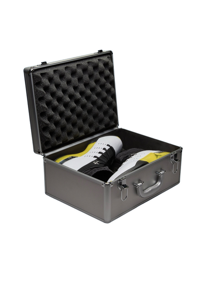 Jordan 17 Retro Low All-Star Lightning (2024) FJ0395-100