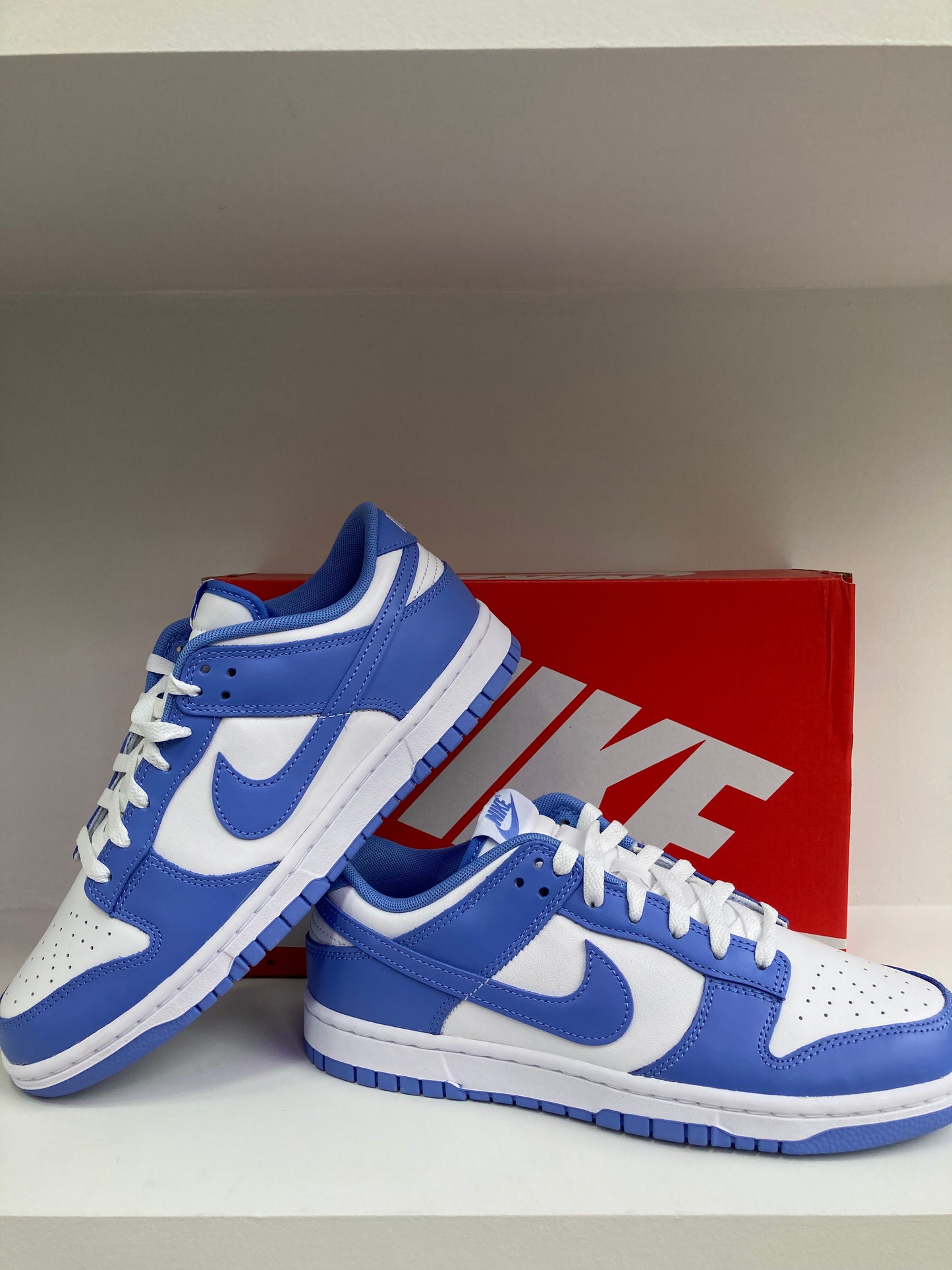 Nike Dunk Low "Polarice"  DV0833-400