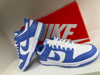 Nike Dunk Low "Polarice"  DV0833-400