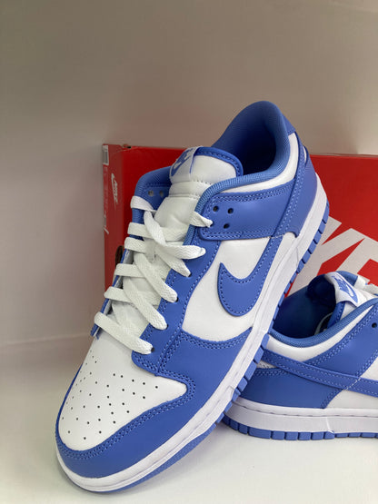 Nike Dunk Low "Polarice"  DV0833-400
