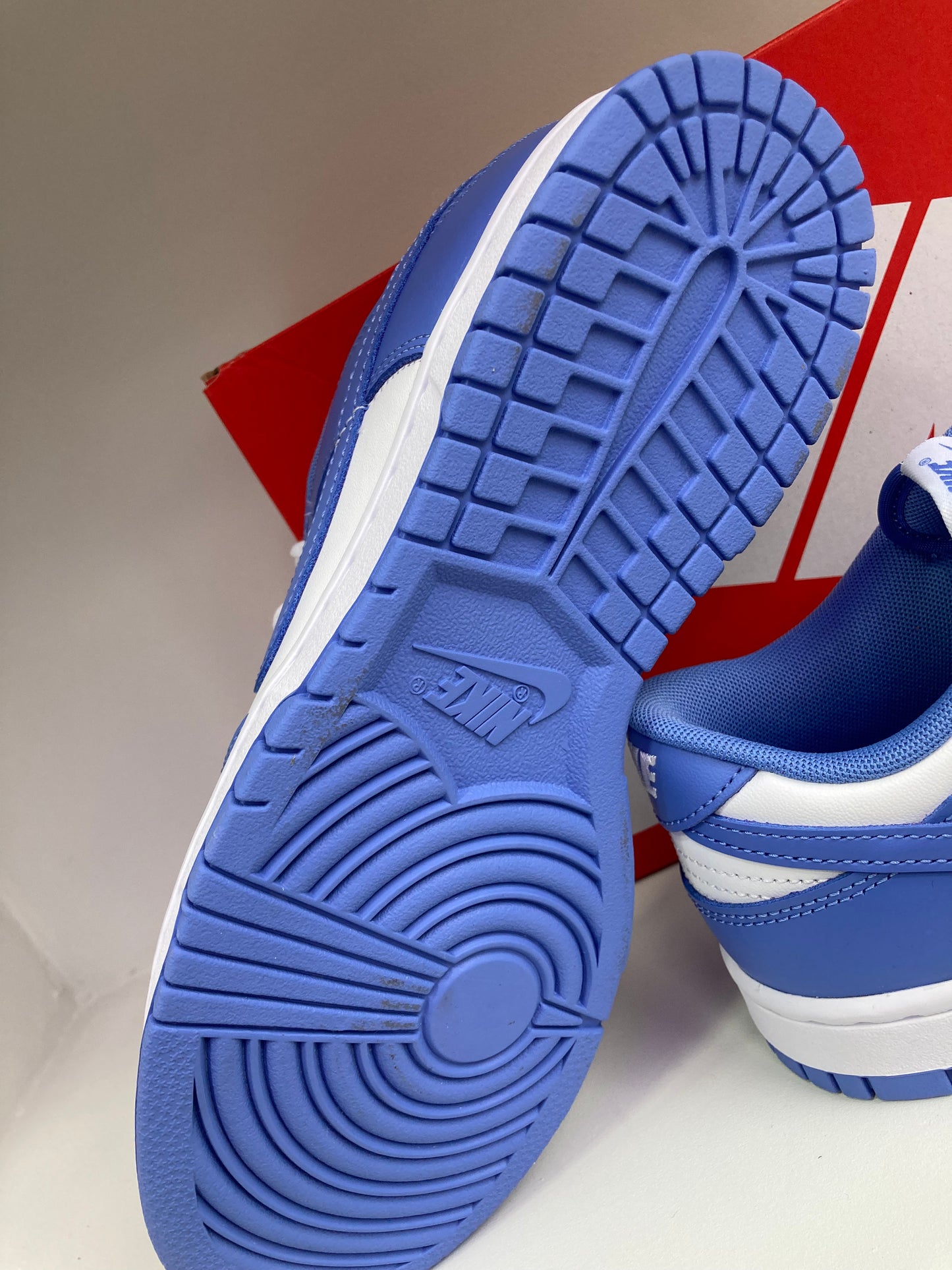 Nike Dunk Low "Polarice"  DV0833-400