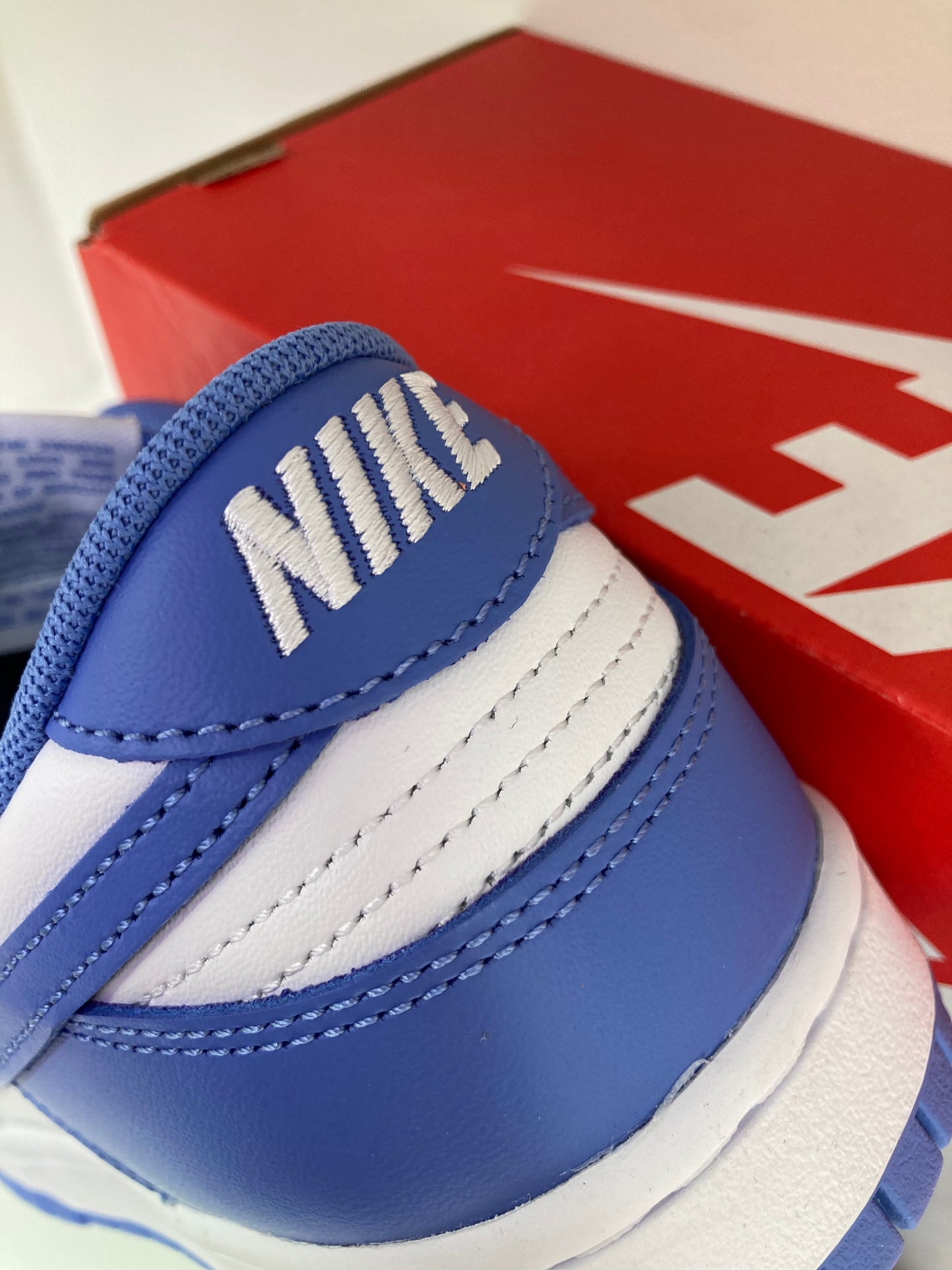 Nike Dunk Low "Polarice"  DV0833-400