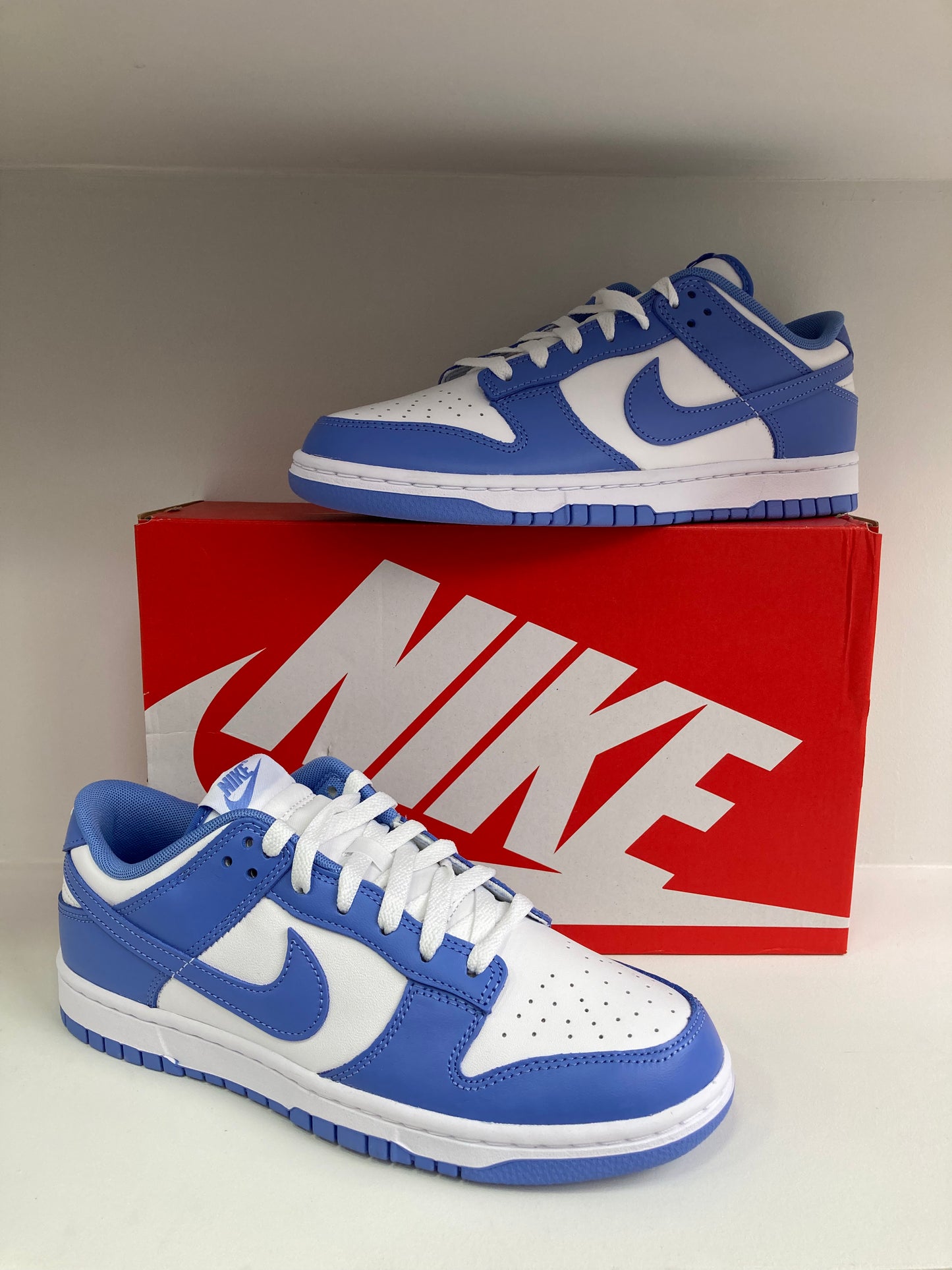 Nike Dunk Low "Polarice"  DV0833-400