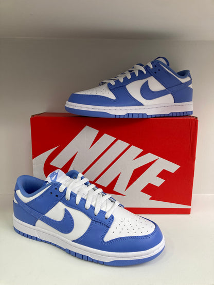 Nike Dunk Low "Polarice"  DV0833-400