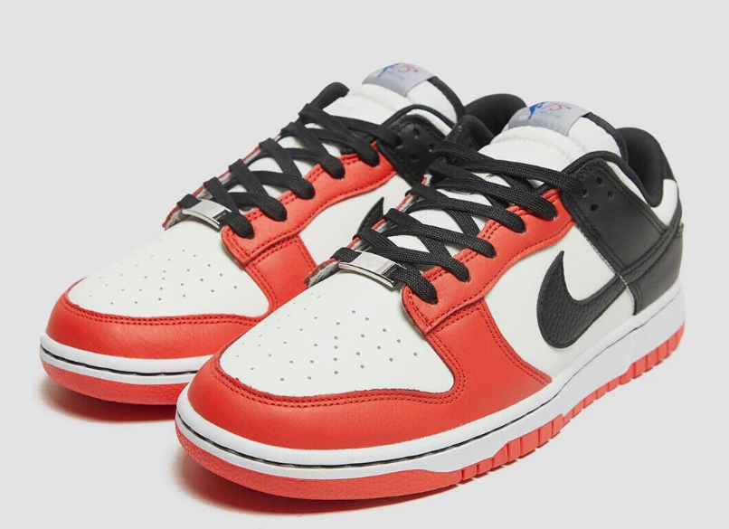 Nike Dunk Low EMB NBA 75th Anniversary Chicago DD3363-100