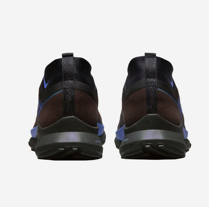 Nike React Pegasus Trail 4 GTX FB2193-200