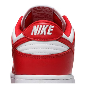 Nike Dunk Low SP CU1727-100