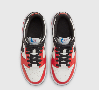 Nike Dunk Low EMB NBA 75th Anniversary Chicago DD3363-100