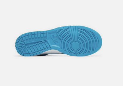 Nike Dunk Hi DD1399-400